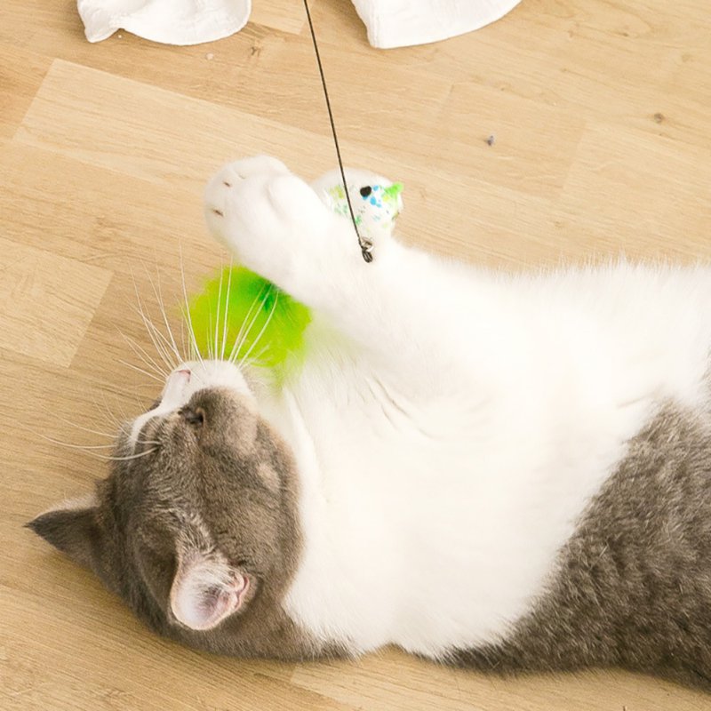 Brinquedo Interativo Simulador de Pássaros / Para Gatos